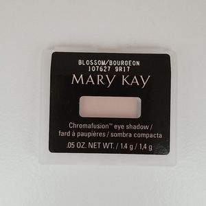 Mary Kay Chromfusion eye shadow